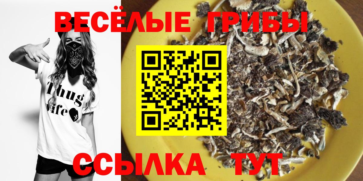 Псилоцибиновые грибы прущие грибы  Вход с VPN  Рославль 